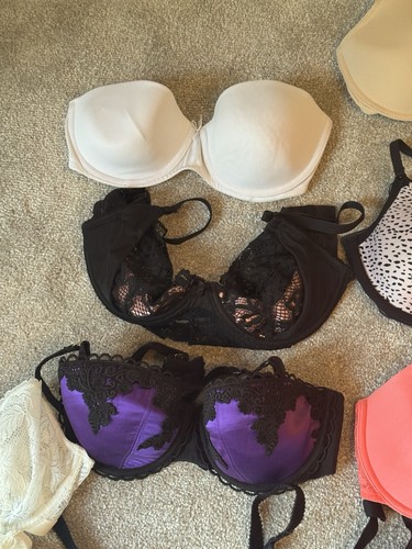 Bras size 34d - bras,