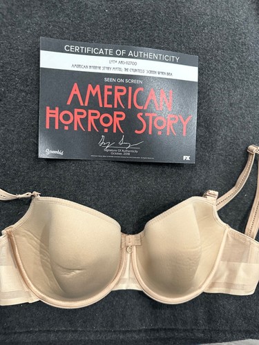 Lady gaga screen - lady, worn